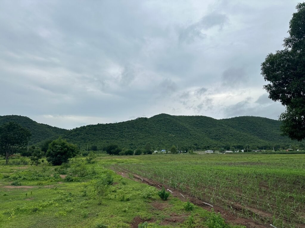 7E5EFB9A-20CA-4839-A675-978B439D5909