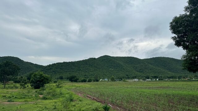 7E5EFB9A-20CA-4839-A675-978B439D5909
