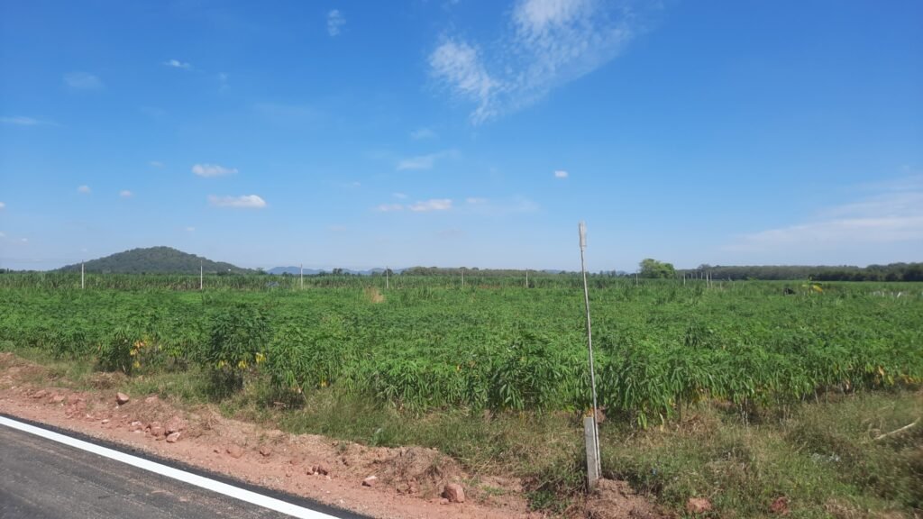 dd809815-b738-44a8-be33-221057ccfe1a