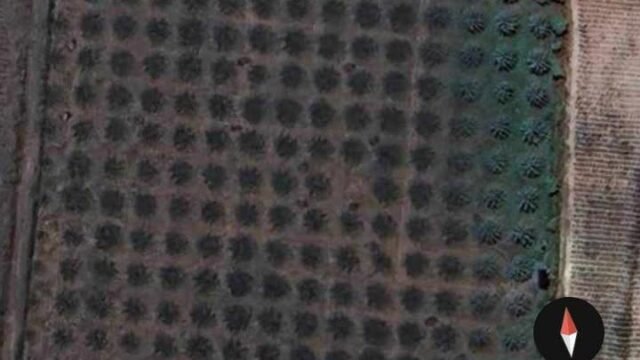 496509111_571187528937378_1007970423949877092_n